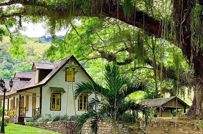 Half-day 3-Course Cocoa Lunch Tour in Trinidad - Should you book the Lopinot cocoa lunch?