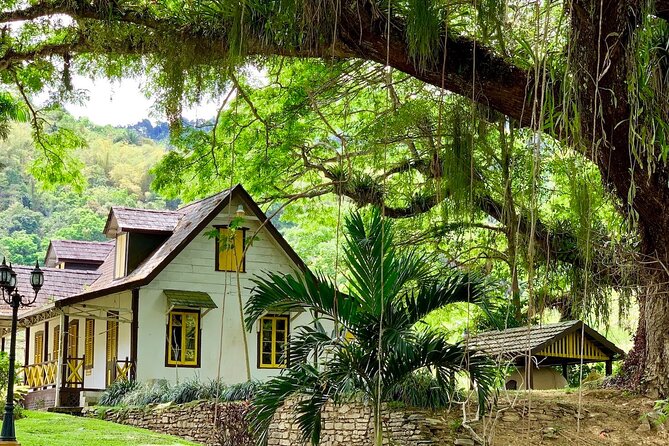 Half-day 3-Course Cocoa Lunch Tour in Trinidad - A short stop at Lopinot Historical Complex
