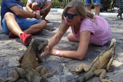 Half Day Guayaquil Historical Tour and Cocoa Culinary Experience