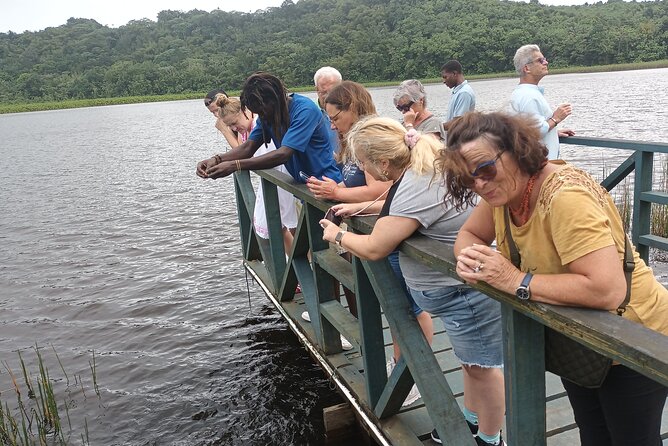 Half-Day Hawaiian Leis Chocolate Waterfalls Beach Tour - Who will enjoy this outing most