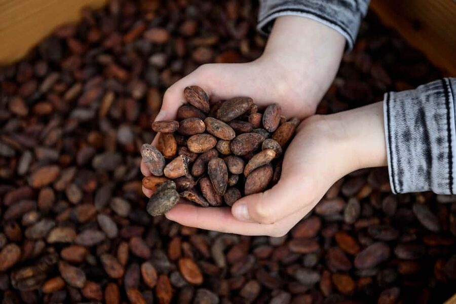 Heule: Chocolatier Vandenbulcke Chocolate Trail Tour - Value, limits, and the overall rating