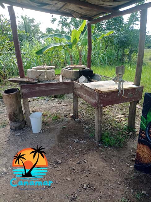 Higuey discovery, coffee and cocoa tasting from punta cana - Coffee, cacao, and a visit with a local family