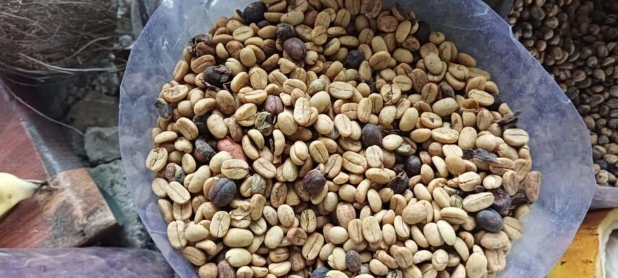Higuey discovery, coffee and cocoa tasting from punta cana - The road from Punta Cana to Higüey