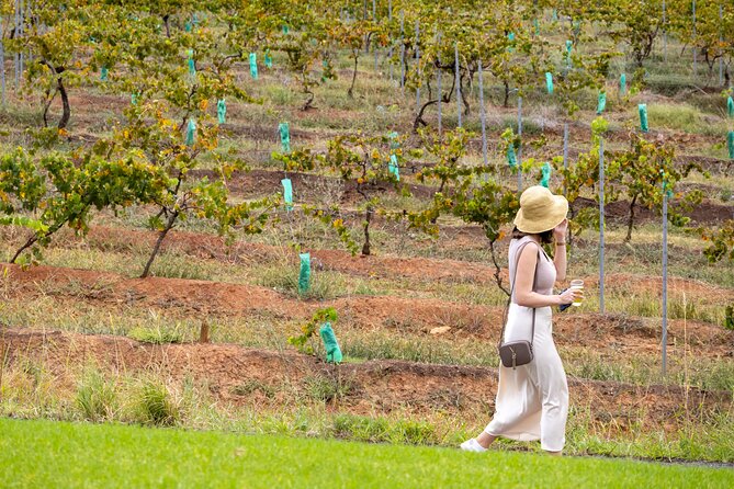 Hunter Valley All Inclusive, Wine, Chocolate Tasting and Lunch - Drayton’s Family Wines and 160 years of tradition
