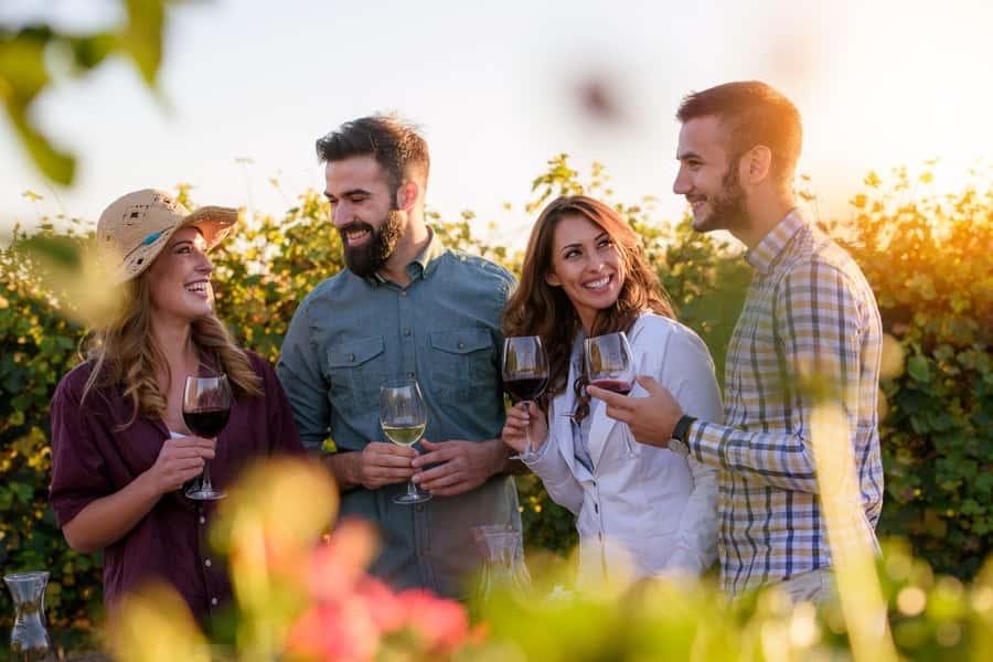 Hunter Valley: Wine, Chocolate and Lunch All Inclusive Tour - From Sydney streets to Hunter Valley vineyards