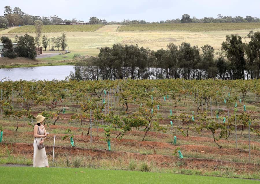 Hunter Valley: Wine, Chocolate and Lunch All Inclusive Tour - Hunter Valley Gardens and nearby village shops