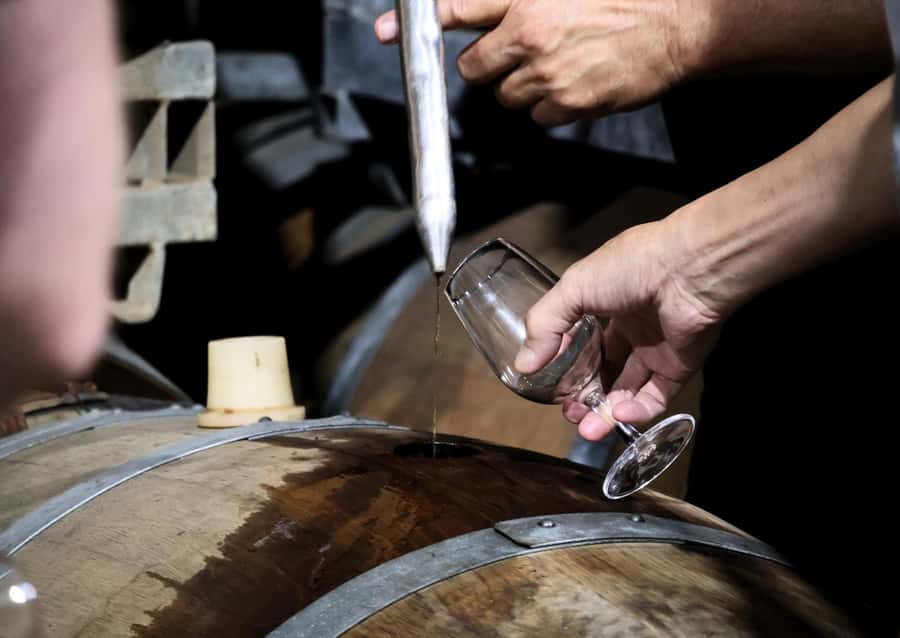 Hunter Valley: Wine, Chocolate and Lunch All Inclusive Tour - Draytons Family Wines and an older vineyard setting