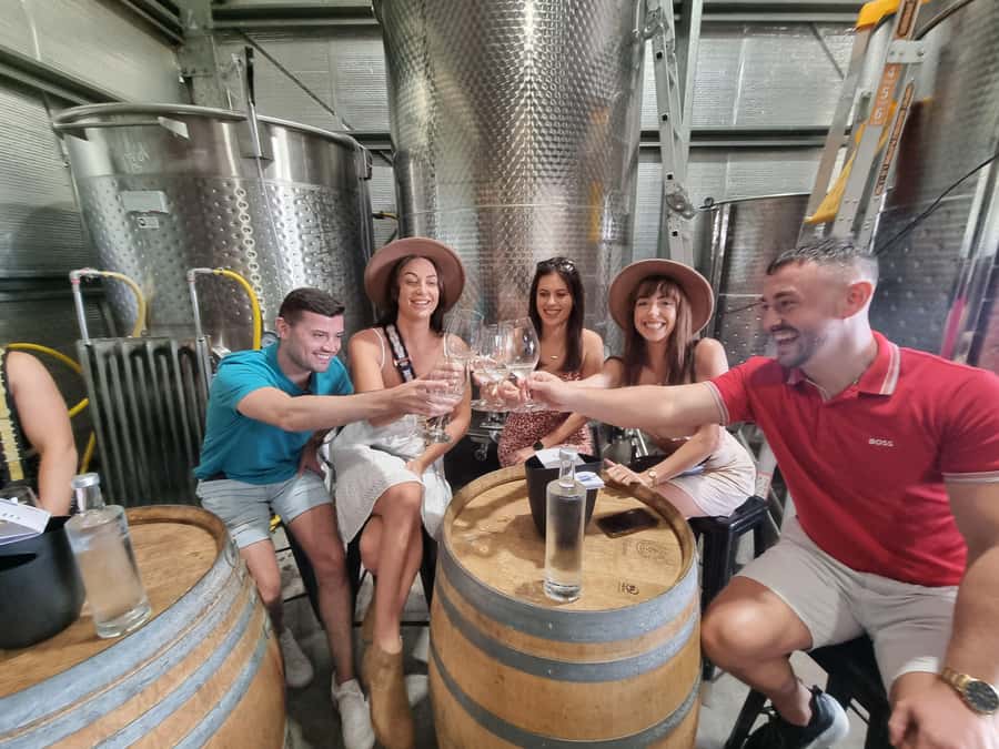 Hunter Valley: Wine, Gin, Cheese and Chocolate Tour - Cheese, wine and chocolate pairings
