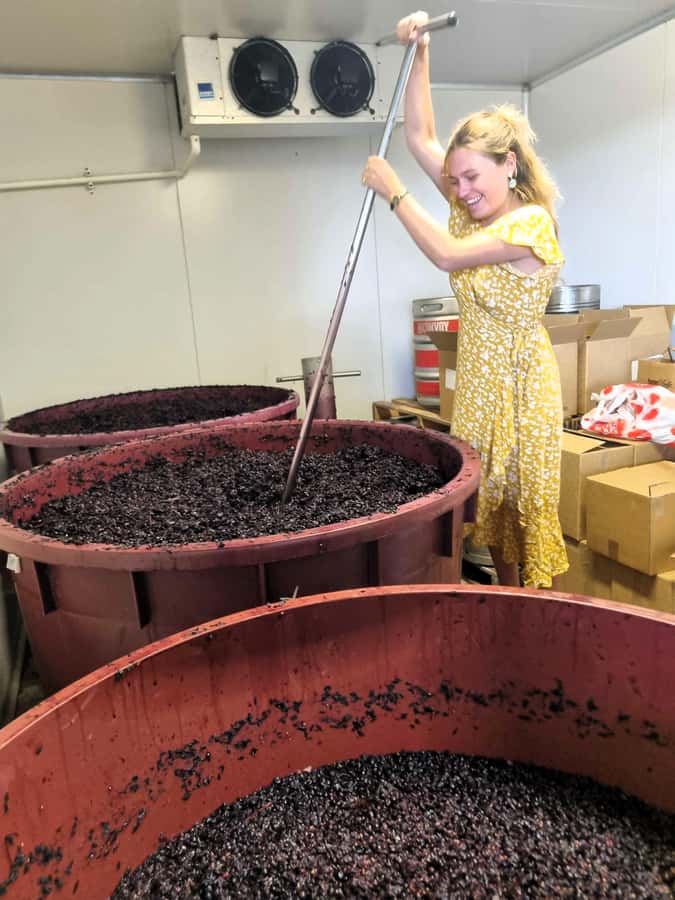 Hunter Valley: Wine, Gin, Cheese and Chocolate Tour - The guide can shape the whole day