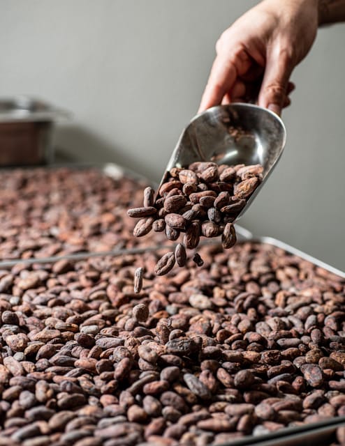 KAIACAO Bean to Bar and Design your own chocolate experience - Key points at a glance