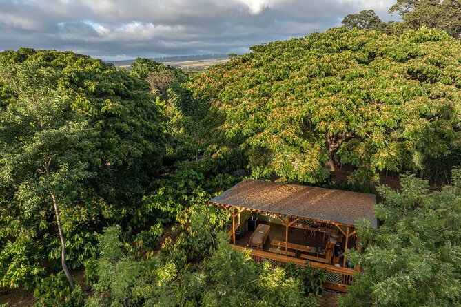Kamananui Cacao Orchard Tour - Practical details before you go