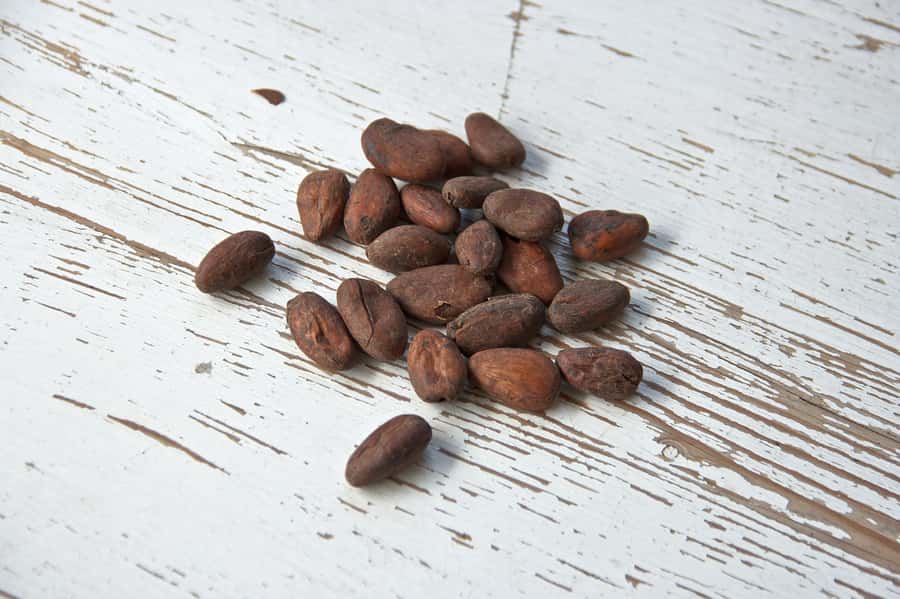 Kampala: Hands-On Chocolate Making Experience - The setting at The Dancing Cup