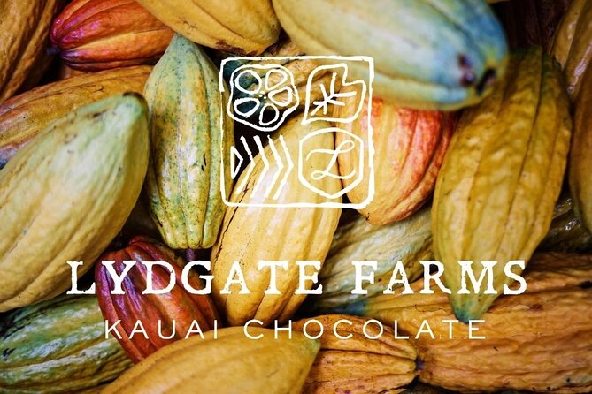 Kauai Chocolate Farm Tasting Tour - Why chocolate tastes different at a working Kauai farm