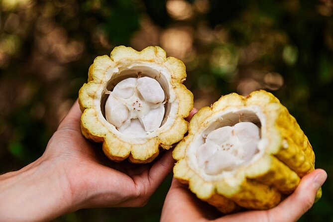 Kauai Chocolate Farm Tasting Tour - Is three hours a good value at $145?