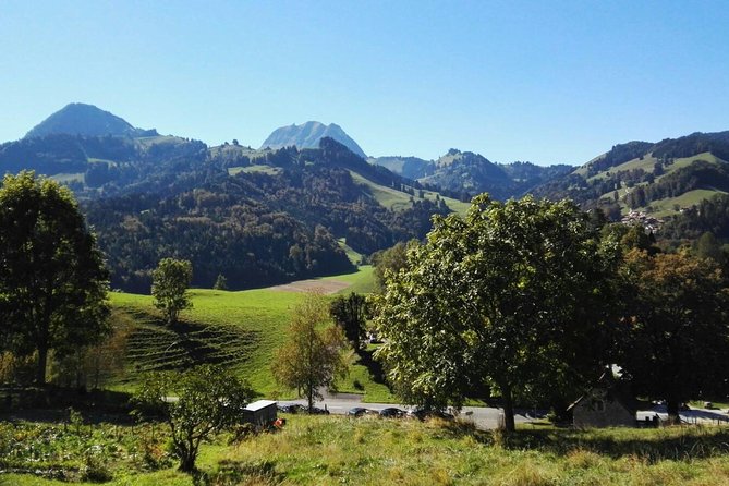 (KTL352) - Gruyeres Day Trip with Chocolate Factory from Lausanne - Who should book this experience?