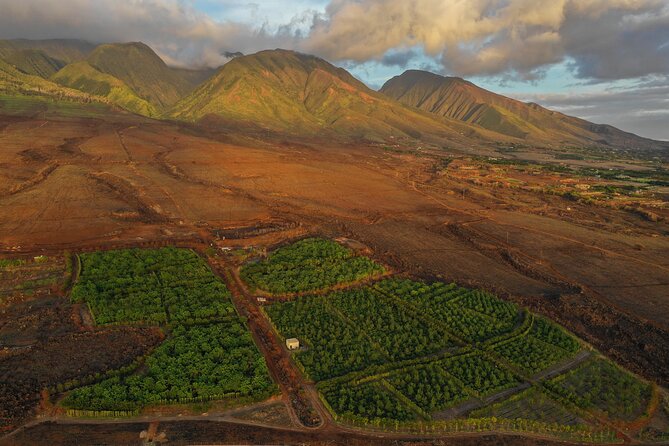 Lahaina: Maui Ku'ia Estate Guided Cacao Farm Tour and Tasting - Is the $99.48 price good value?