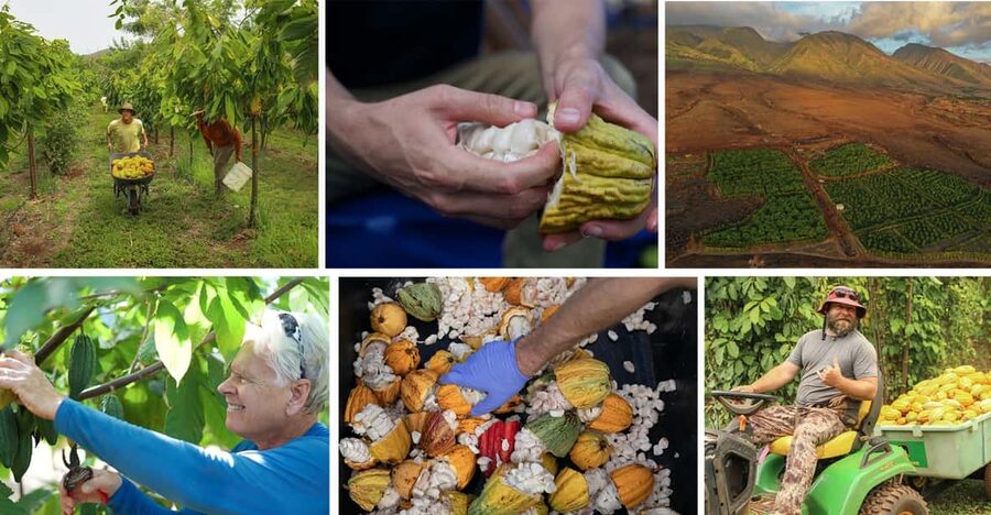 Lahaina: Maui Ku'ia Estate Guided Cacao Farm Tour & Tasting - Riding into the West Maui foothills