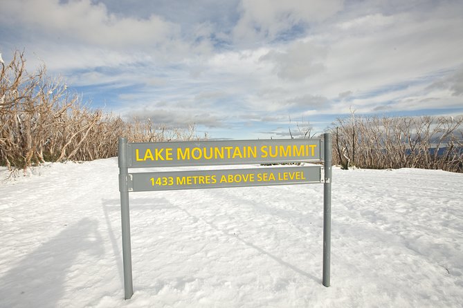 Lake Mountain Snow Trip including Yarra Valley Chocolaterie from Melbourne - What the $129.10 price really covers