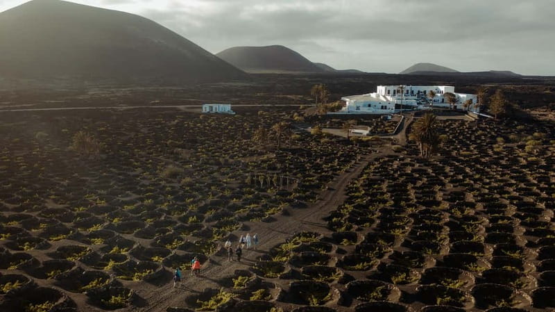 Lanzarote: Sunset vineyard tour with wine and chocolate tasting - Why this sunset vineyard visit works so well