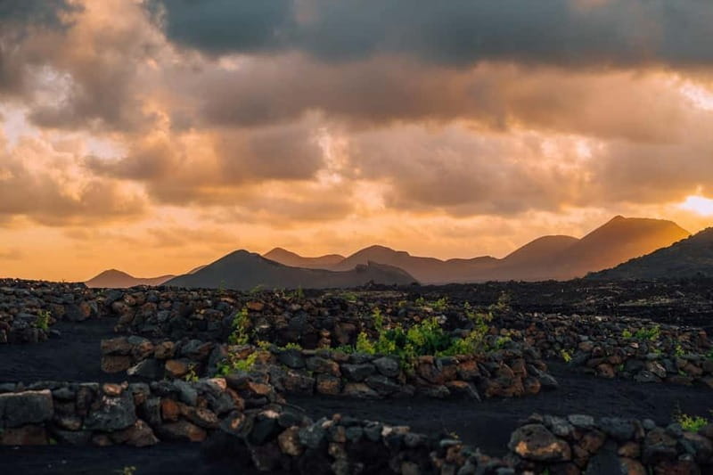 Lanzarote: Sunset vineyard tour with wine and chocolate tasting - The 50-minute walk through the estate