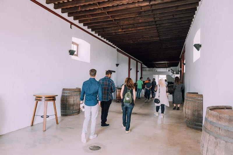 Lanzarote: Sunset vineyard tour with wine and chocolate tasting - Small details that improve the evening