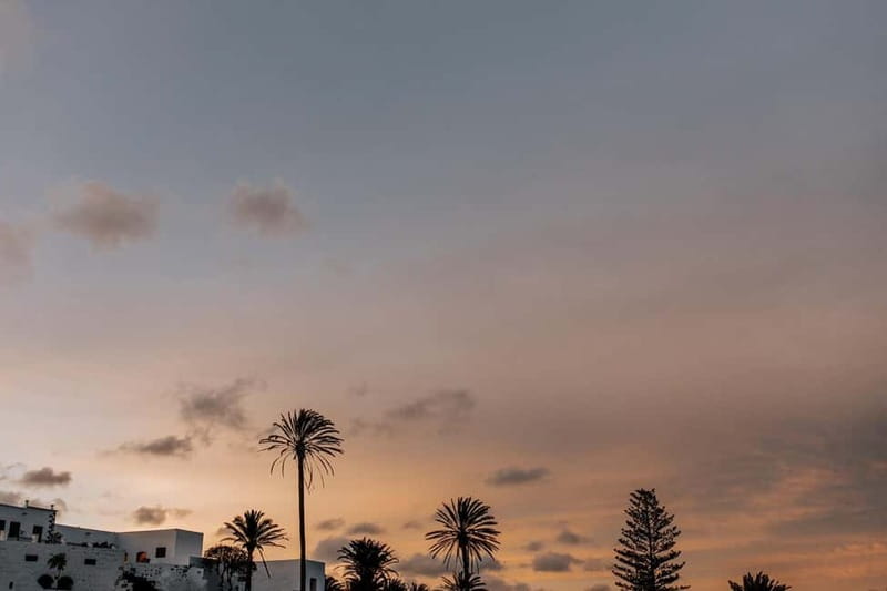 Lanzarote: Sunset vineyard tour with wine and chocolate tasting - Should you book this Lanzarote wine tour?