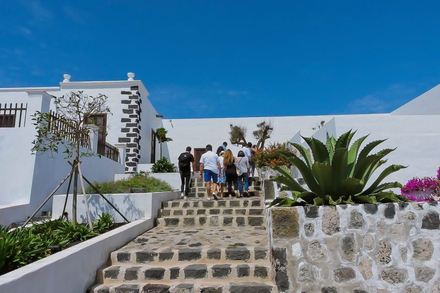 Lanzarote: Vineyard Tour with Wine and Chocolate Tasting - Key points at a glance