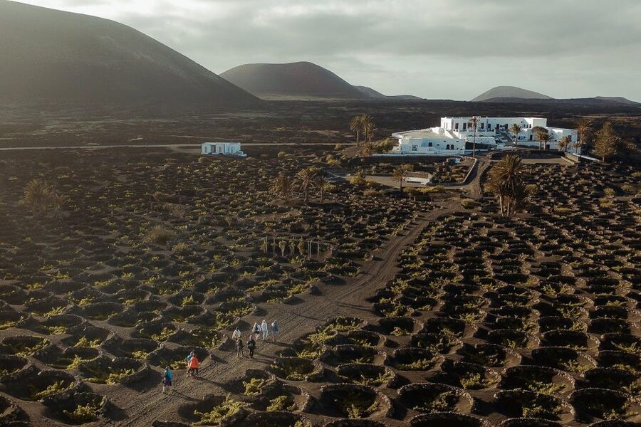 Lanzarote: Vineyard Tour with Wine and Chocolate Tasting - Why Lanzarote’s vineyards are so unusual