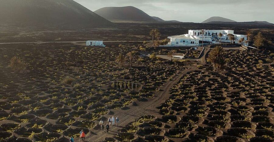 Lanzarote: Vineyard Tour with Wine and Chocolate Tasting - The Testeina house and its island story