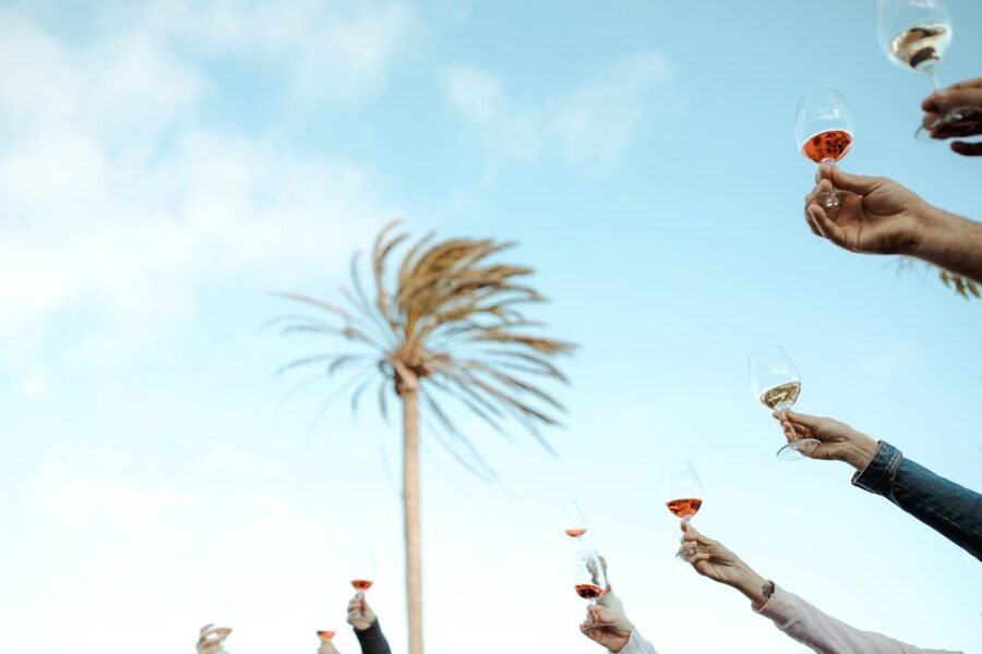 Lanzarote: Vineyard Tour with Wine and Chocolate Tasting - The guide makes the difference