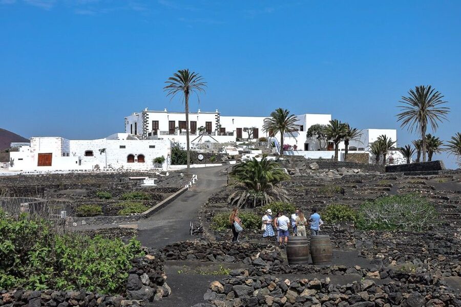 Lanzarote: Vineyard Tour with Wine and Chocolate Tasting - Walking through Finca Testeina