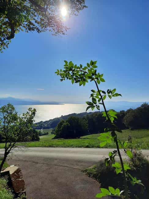 Lausanne: Walking Tour with Chocolate Tastings & Metro - Montbenon for city and lake views