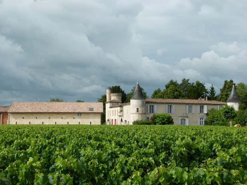 Libourne: Winery Tour with Wine and Chocolate Tasting - Start among the vines, where the wine begins
