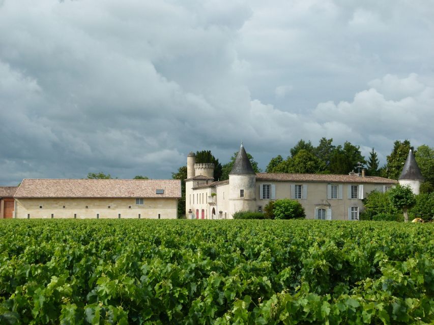 Libourne: Winery Tour with Wine and Chocolate Tasting - The final call