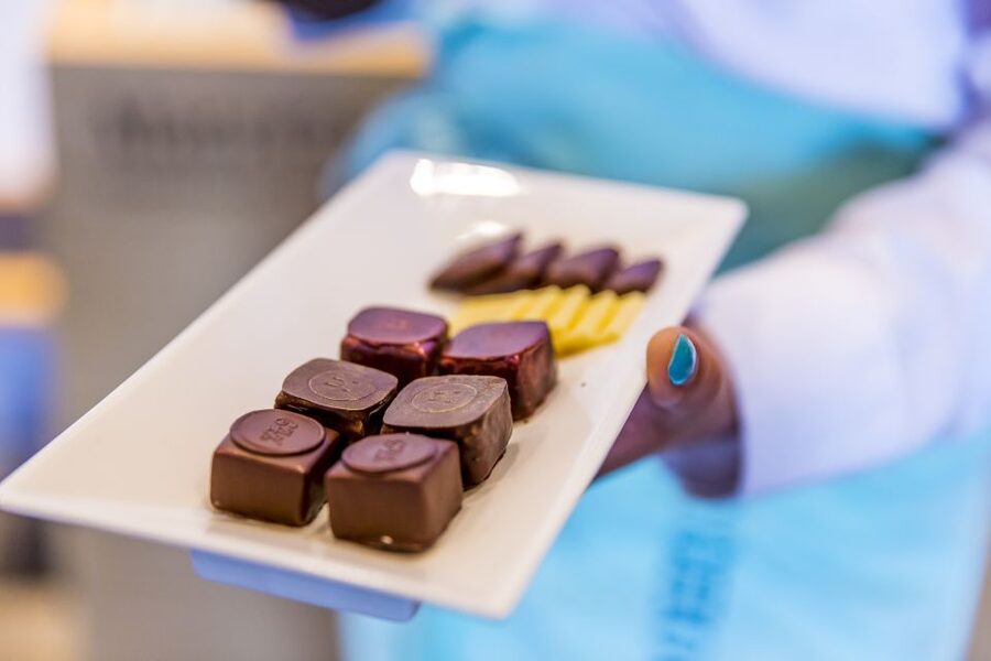 Lucerne: Chocolate Tasting with Lake Trip and City Tour - What $386 buys you