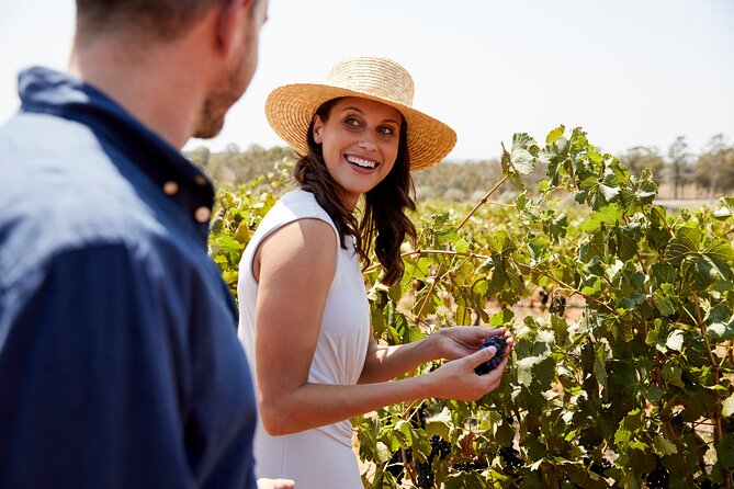 Luxury Hunter Valley Tour: 3 Tastings, Gin, Lunch & Chocolatier - Key points at a glance