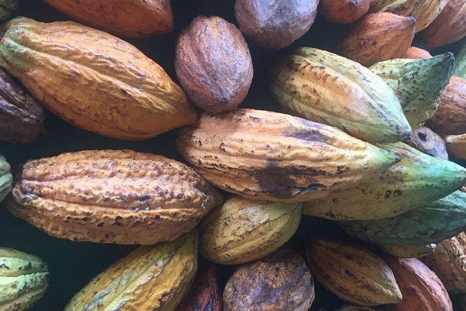 Make your own Bean to Bar Chocolate Factory Tour - Creating custom inclusion chocolate bars