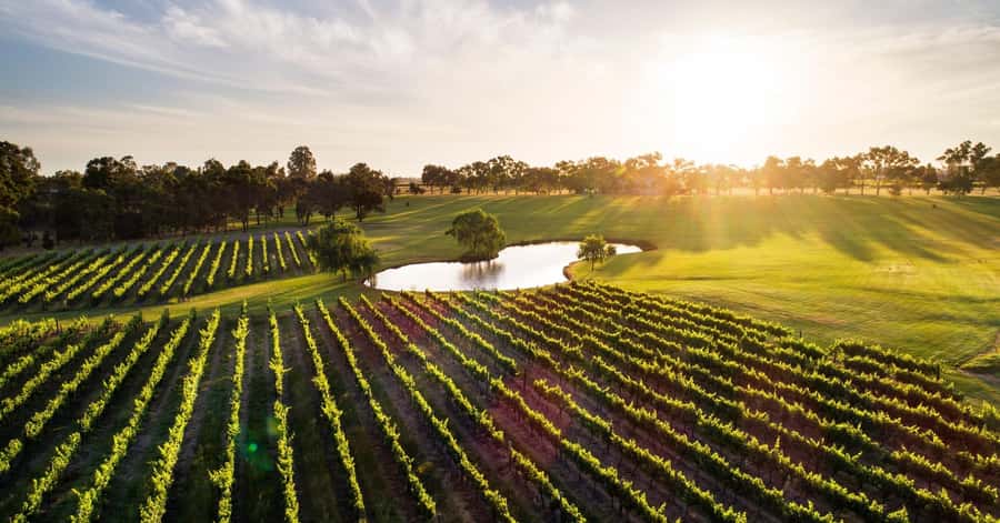 Margaret River, Chocolate, Wine & Coast Day Trip from Perth - Bettenays Nougat adds another sweet stop