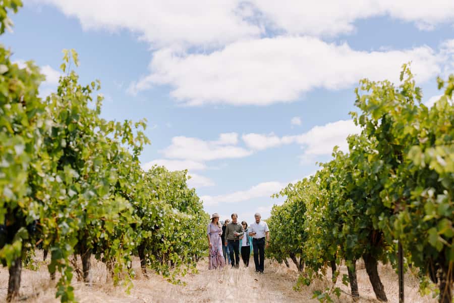 Margaret River, Chocolate, Wine & Coast Day Trip from Perth - Busselton Jetty closes the loop