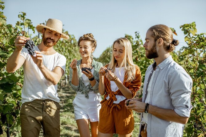 Margaret River’s Wine & Chocolate Odyssey: Private Tour - Woody Nook Wines keeps the winery trail personal