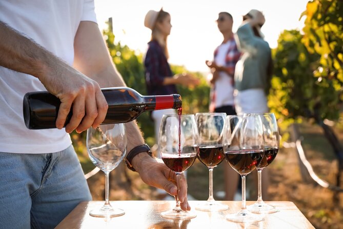 Margaret River’s Wine & Chocolate Odyssey: Private Tour - Chocolate gives the afternoon a welcome change