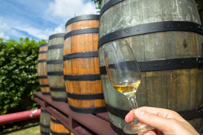 Margaret River’s Wine & Chocolate Odyssey: Private Tour - Brown Hill Estate introduces the wine country