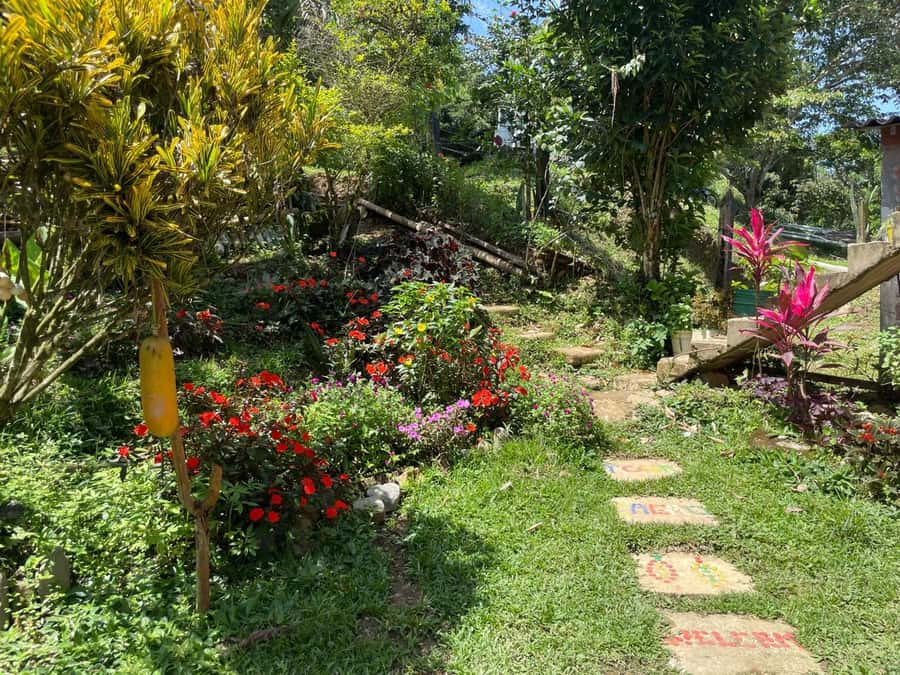Medellín: Chocolate Tour & Exfoliation in beautiful river - Practical preparation for the farm and river