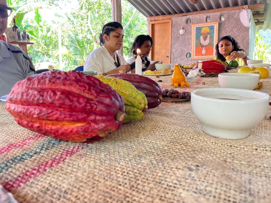 Medellín: Chocolate Tour & Exfoliation in beautiful river - A family farm with cacao at the center