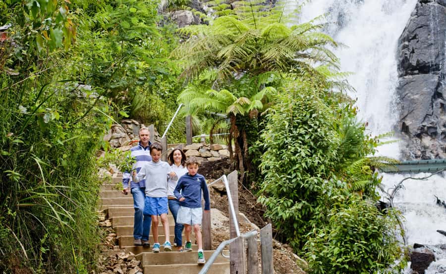 Melbourne: Lake Mountain Snow, Waterfall & Chocolaterie Tour - What the Lake Mountain stop is really like