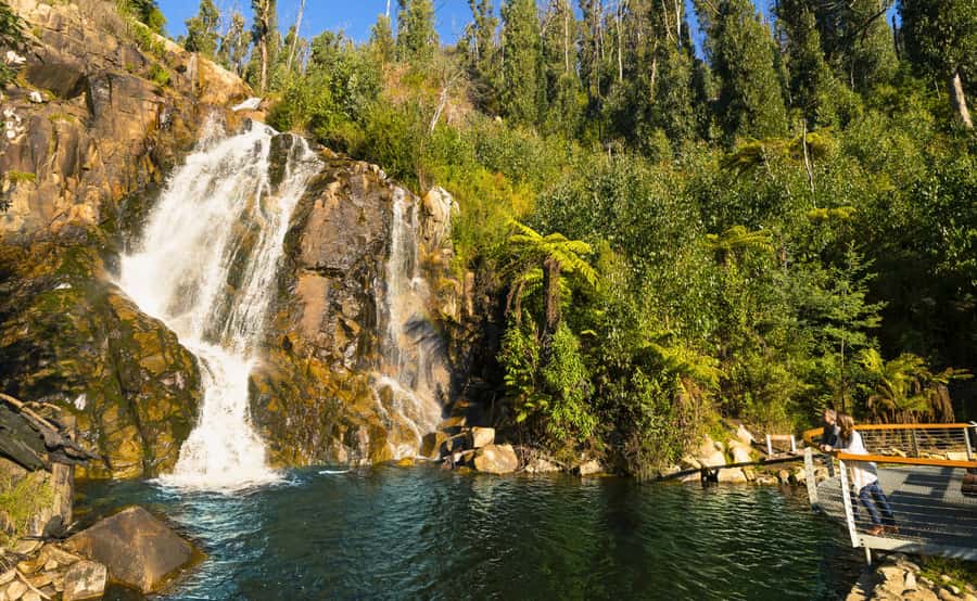Melbourne: Lake Mountain Snow, Waterfall & Chocolaterie Tour - The guides make a practical difference