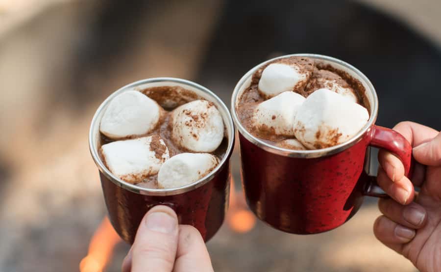 Melbourne: Lake Mountain Snow, Waterfall & Chocolaterie Tour - Who should book this day trip?