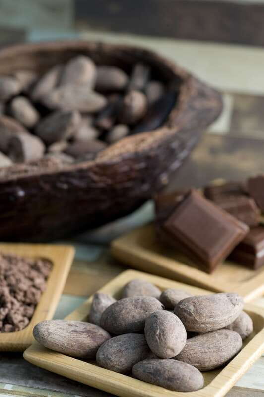 Mérida: Uxmal, Cenote and Chocolate Museum Choco-Story - What the Choco-Story visit adds