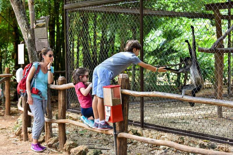 Mérida: Uxmal, Cenote and Chocolate Museum Choco-Story - The cenote question