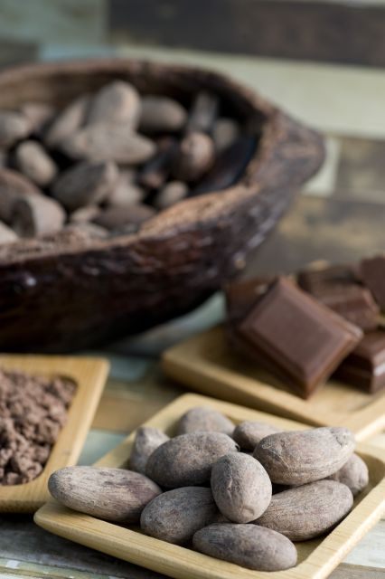 Mérida: Uxmal, Cenote and Chocolate Museum Choco-Story - What the $85 really buys you